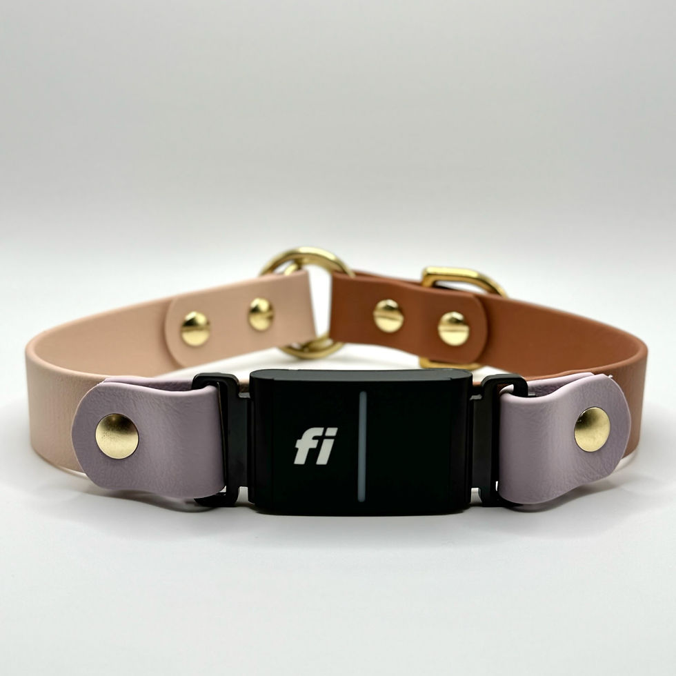 Thumbnail: Fi Compatible Add On