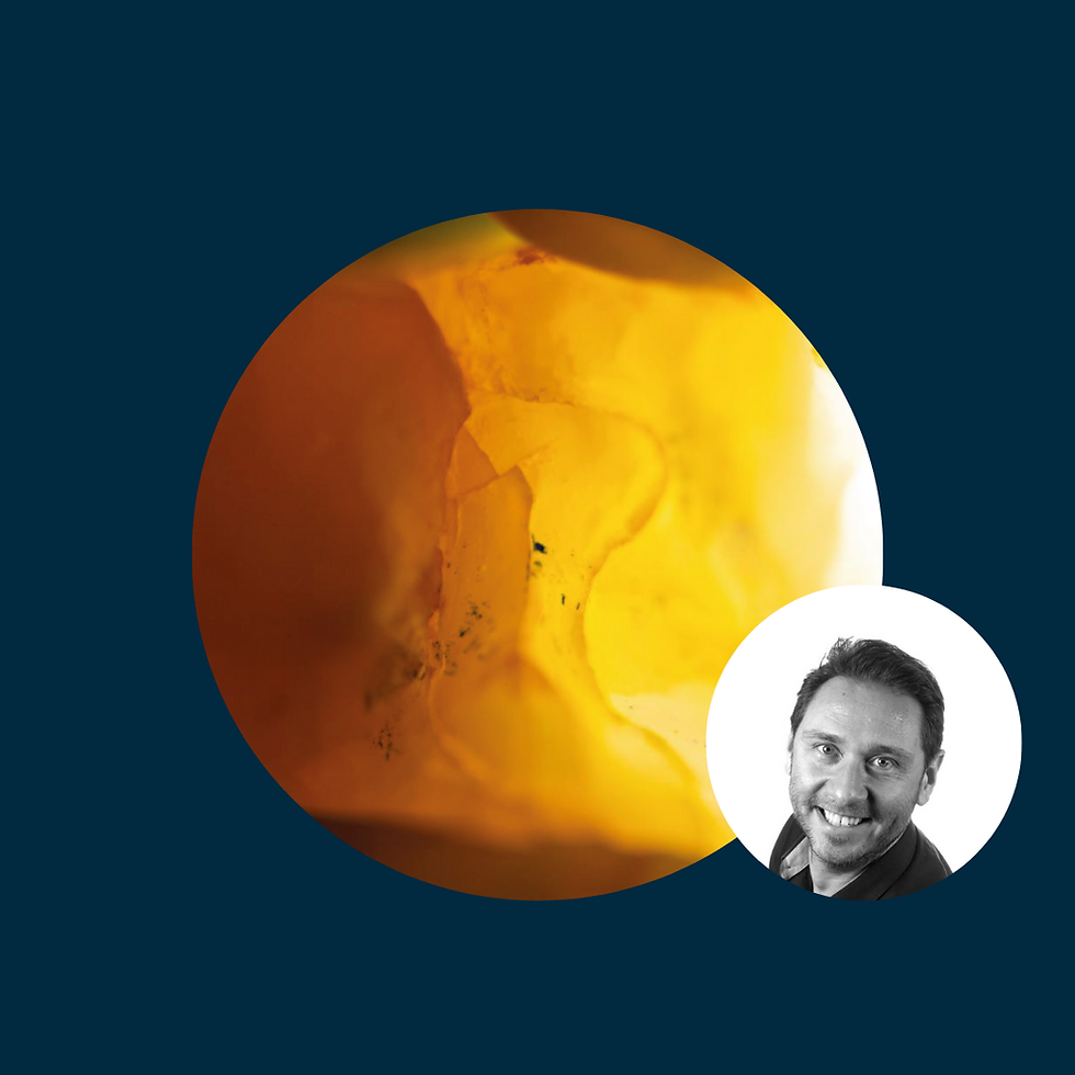Dr. Stephane Browet - Fractures - Biomimetic Hands-on Course - 29th-30th of Aug - Oslo
