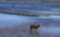 big island photos 02242021 47.jpg