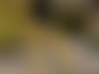 Week 1 - It's Just the Beginning