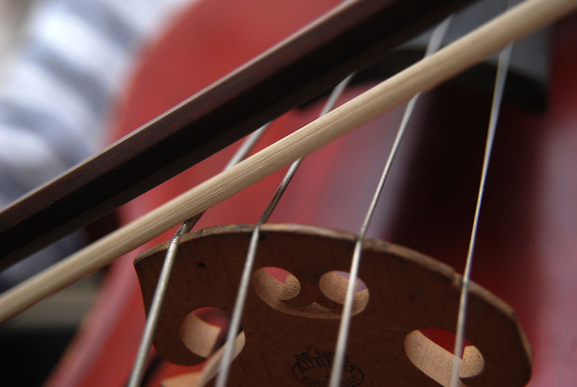 Cello 2