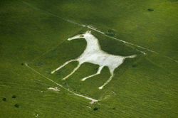 Cherhill Horse