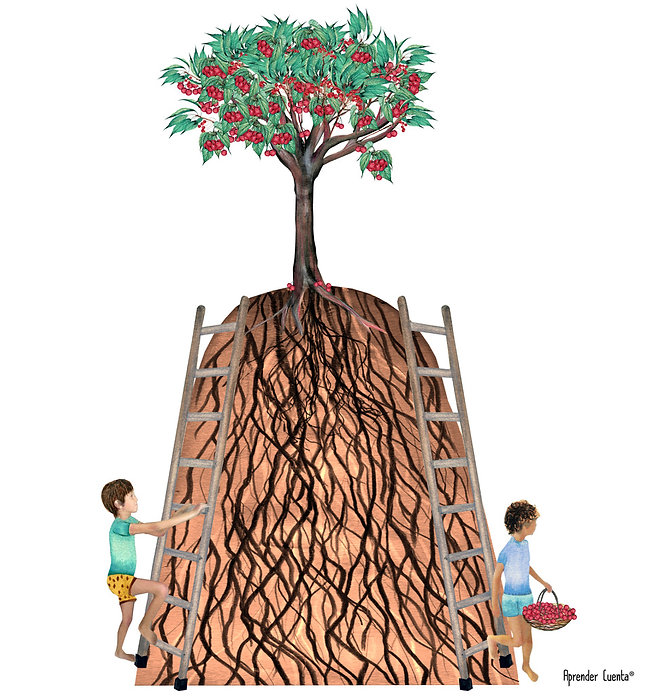 Educación financiera niños, finanzas niños, ahorro niños, consumo niños, consumo responsable niños, actividades educación financiera niños, talleres educación financiera niños, actividades niños, dinero niños, escuela online educación financiera, programas educativos, juegos de educación financiera, inteligencia financiera niños, economía para niños, finanzas para niños, educación financiera para niños, Aprender Cuenta, Juana León Álamo, juego de rol para niños, programas de emprendimiento niños, juegos sobre emprendimiento, emprendimiento niños, curso emprendedores, actividades emprendimiento, talento emprendedor niños, educación financiera primaria, educación financiera secundaria, educación financiera en el aula, emprendimiento en el aula, emprendimiento primaria, emprendimiento secundaria