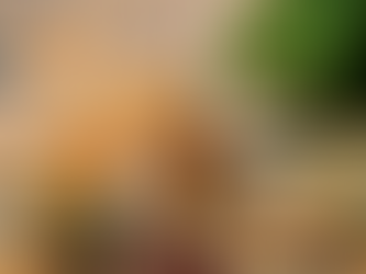 🔥 Holiday Gear-Up Series, Part 16 (Dec 10th): New Year’s Rush Preparation — Get Ready for the Tourism Wave + January Reset