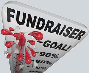 Fundraiser-Icon-600x488_edited.jpg