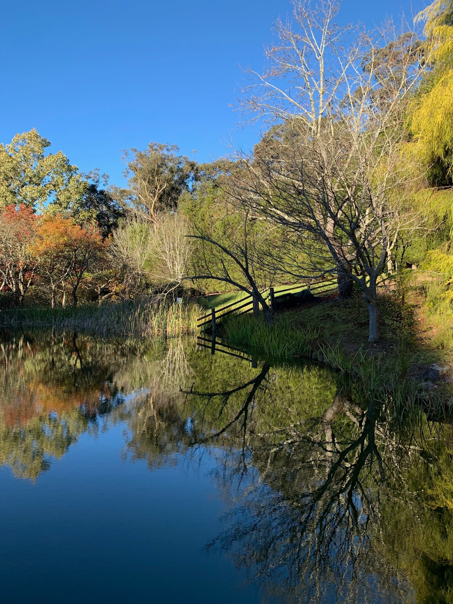 Dantosa Blue Mountains Retreat