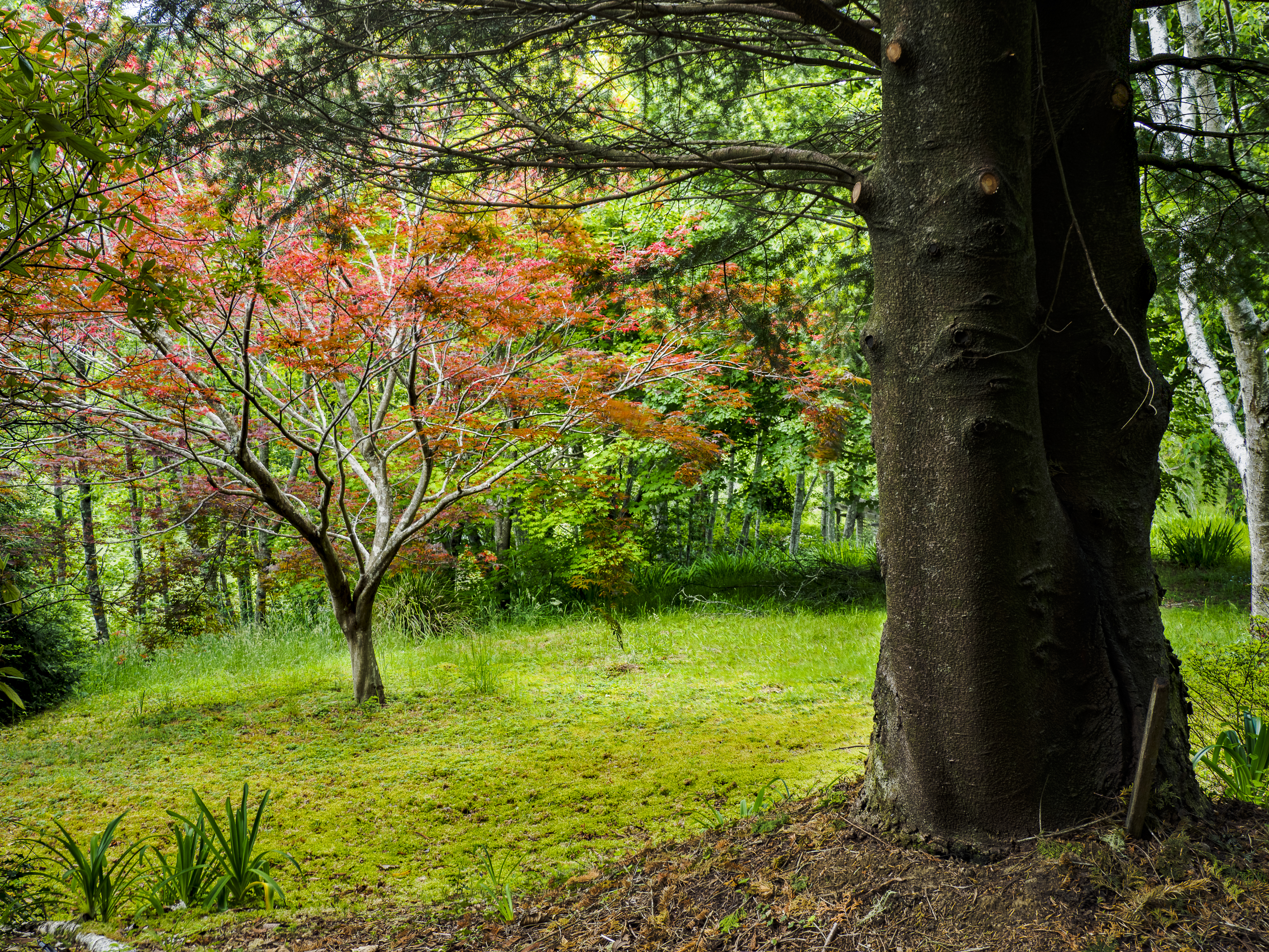 Dantosa Blue Mountains Retreat