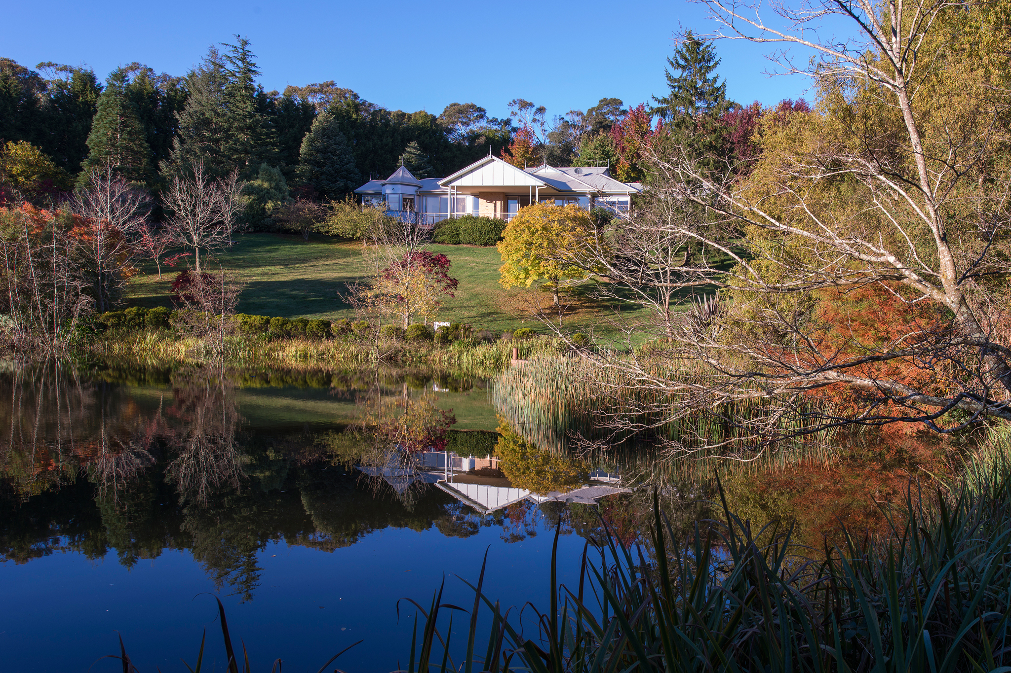 Dantosa Blue Mountains Retreat