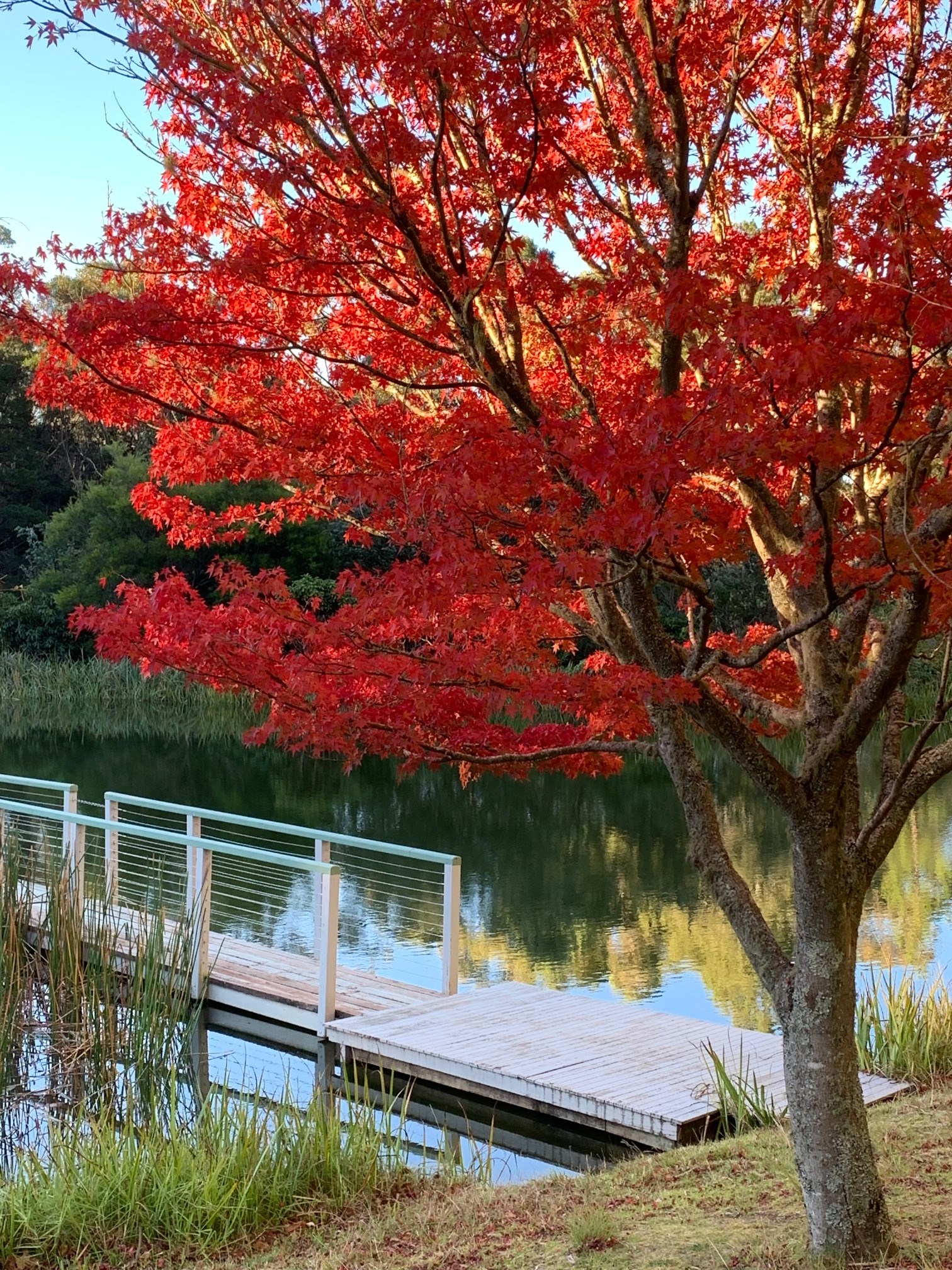 Dantosa Blue Mountains Retreat