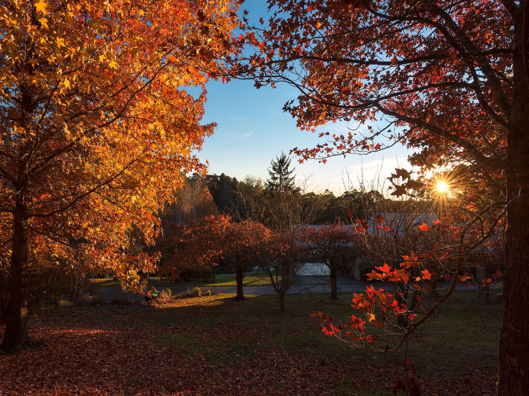 Dantosa Blue Mountains Retreat