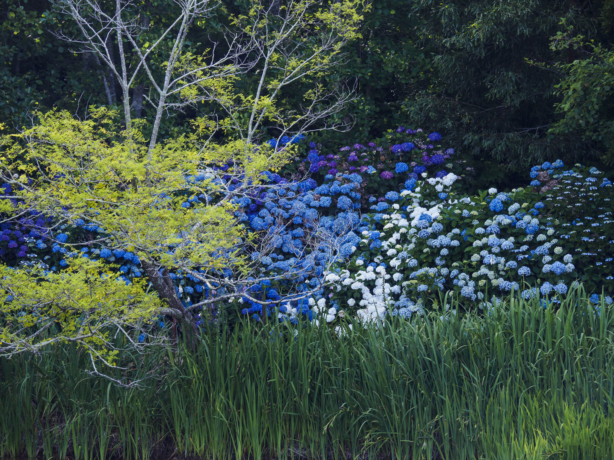 Dantosa Blue Mountains Retreat