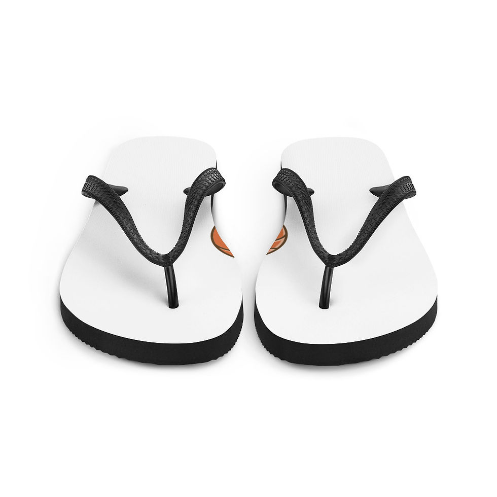Miniature : Flip-Flops