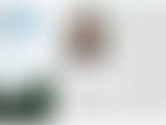 2023년 국제원예과학회(ISHS) Chronica Horticulturae 게재