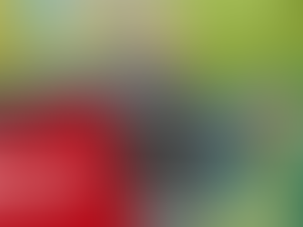 Cheer for the Brand New KAS!