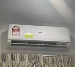 IMG_3128.JPEG