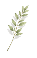ChatGPT Image 18 abr 2026, 14_00_36.png