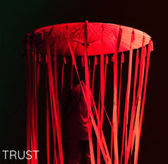 “TRUST” By Dr Brown