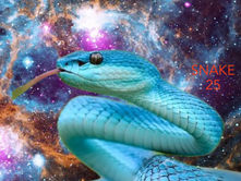 “SNAKE 25” By Rosetta West