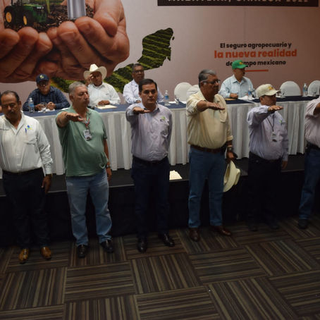 Fondos de Aseguramiento en Sinaloa dan cobertura a más de 300 mil hectáreas: ANFA