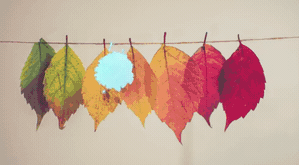 Ink_2.gif