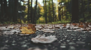 Overlay_4.gif