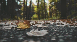 Pixel_Sorting_Vertical_5.gif