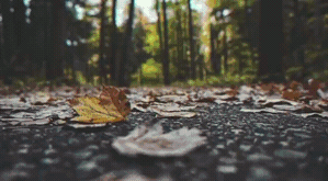 Overlay_14.gif