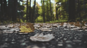 Overlay_7.gif