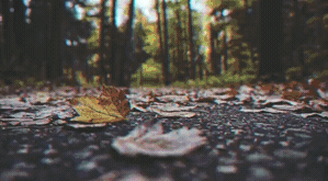 Overlay_1.gif