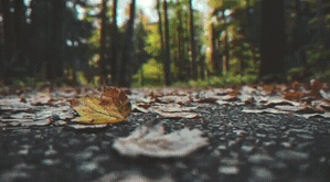Slide_Horizontal_13.gif