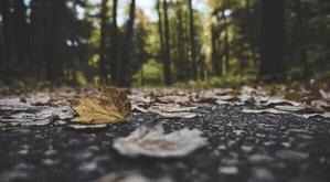 Overlay_13.gif