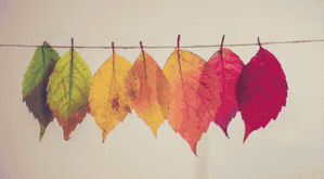 Ink_11.gif