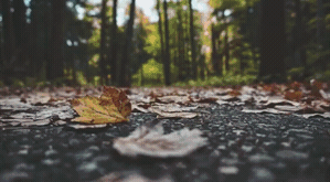 Lens_Chromatic_4.gif