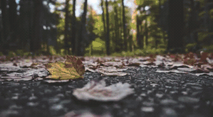 Overlay_8.gif