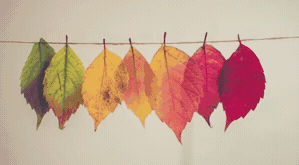 Ink_12.gif