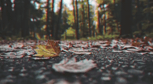 Pixel_Sorting_Horizontal_4.gif