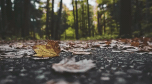 Lens_5.gif
