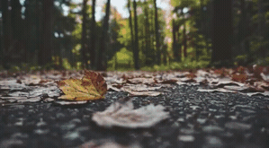 Lens_Chromatic_7.gif