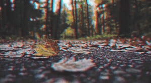 Overlay_3.gif