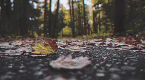 Overlay_9.gif