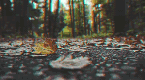 Slide_Horizontal_11.gif