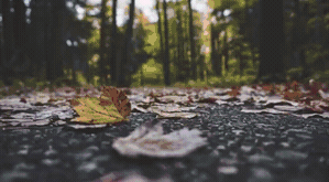 Overlay_2.gif