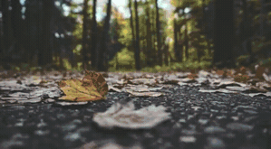 Slide_Horizontal_5.gif
