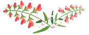 0.png