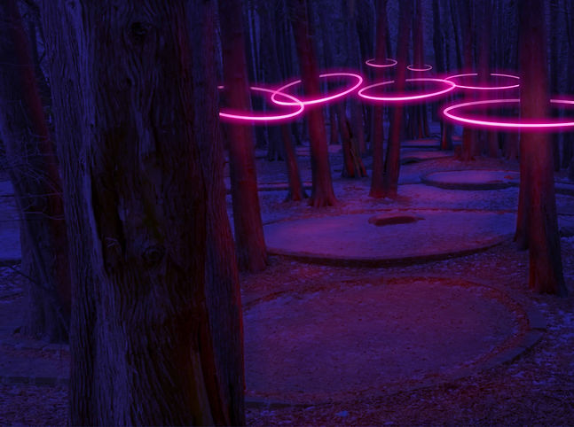 Tree Ring Background.jpg