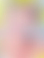 見なかったことにして下さい