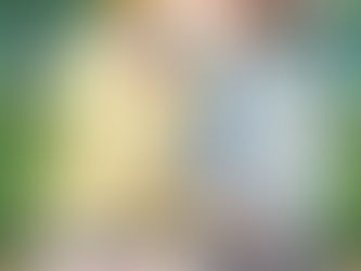 輝木ほまれと公園H その2  処女喪失