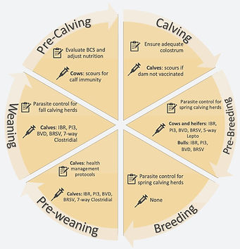 Herd Health Diagram_edited.jpg