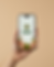 Phone Mockup.png