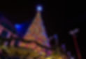 houston-holiday-lighting.jpeg